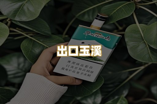 出口玉溪